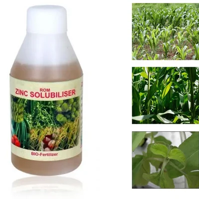 ROM 1 liter Zinc Solubliser | Liquid Bio Fertilizer | Plant Growth Promoter
